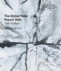 global risks report 2024 copy